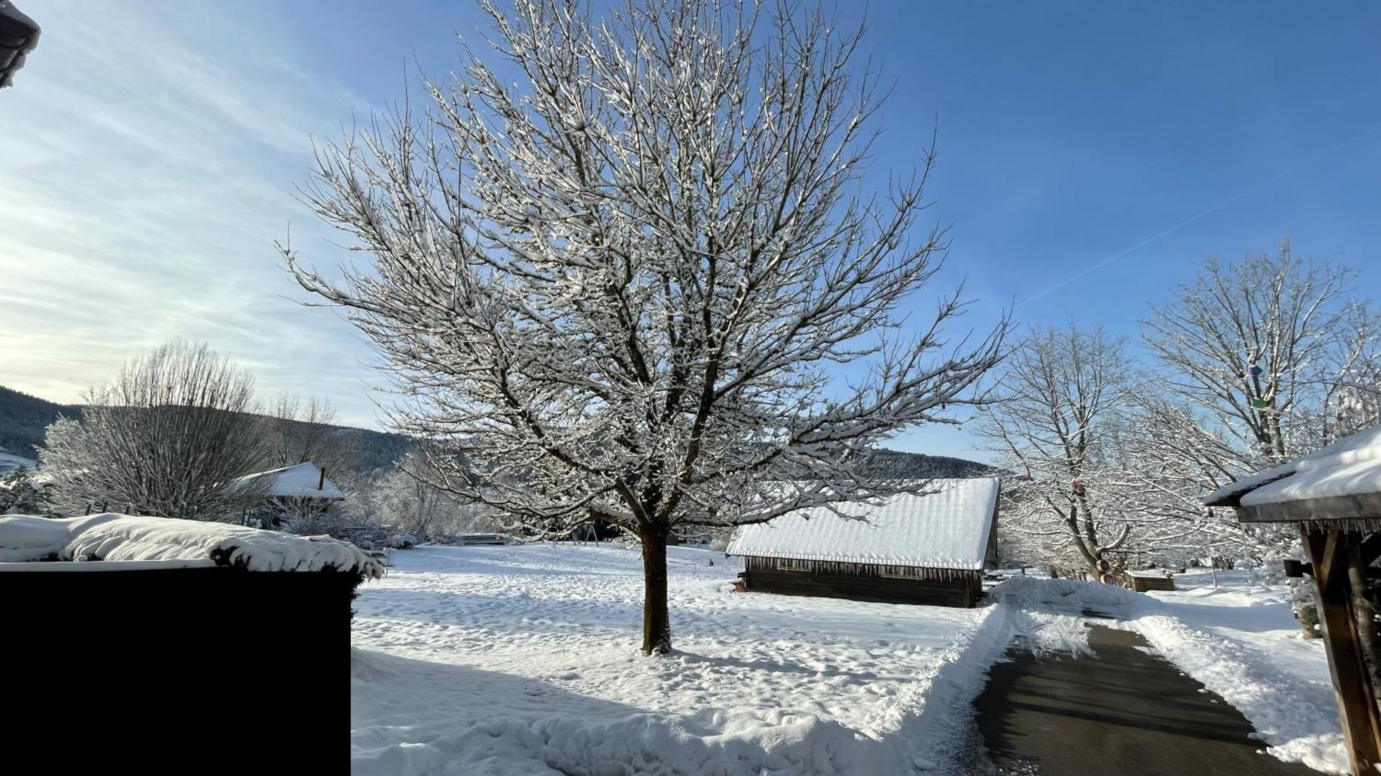 ※ Residence Pomme De Pin - Terrasse - Nature ※ Ксонруп-Лонжеме Екстериор снимка